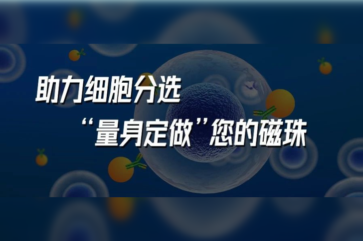 助力细胞分选，“量身定做”您的磁珠