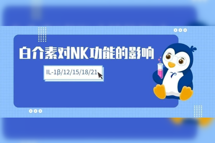 白介素对NK细胞功能的影响（IL-1β、IL-12、IL-15...）