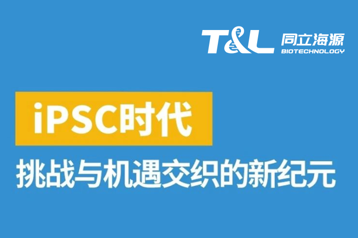 iPSC：挑战与机遇交织的新纪元