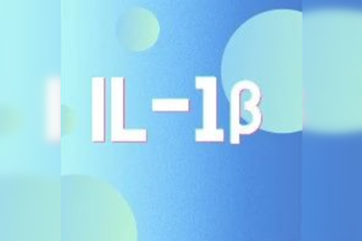 炎症关键靶点 IL-1β：那些你不得不了解的“痛”点