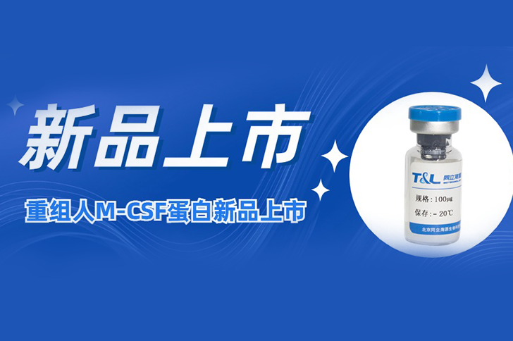 M-CSF | 让您的巨噬细胞更强大！