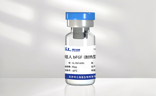 高温环境下的修复王者! 尊凯实业官网新一代耐热型 bFGF 蛋白正式发布