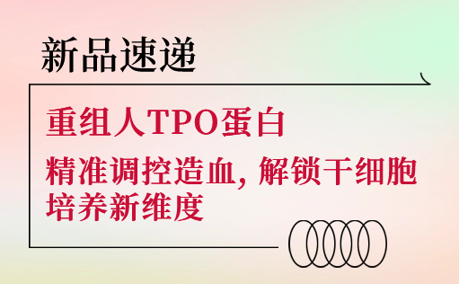 新品速递 | 重组人TPO蛋白震撼上市！精准调控造血，解锁干细胞培养新维度-尊凯实业官网