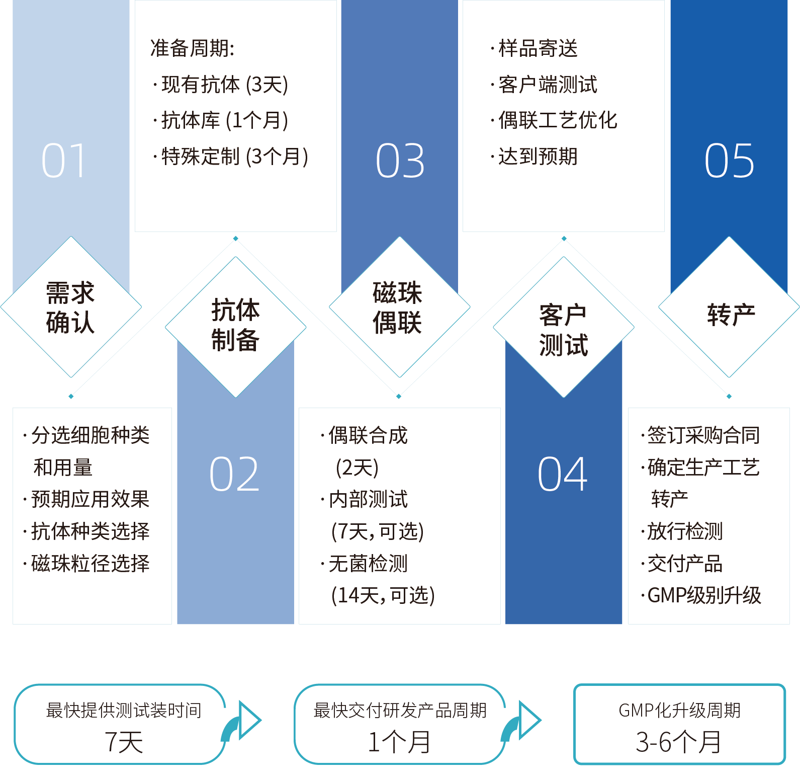 尊凯实业官网细胞分选激活磁珠/分选磁珠定制，定制流程