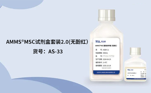人间充质干细胞培养：挑战与应对之策