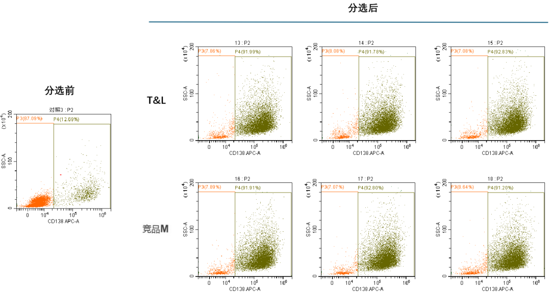 尊凯实业官网新品上市-MaxSortin™CD138分选磁珠