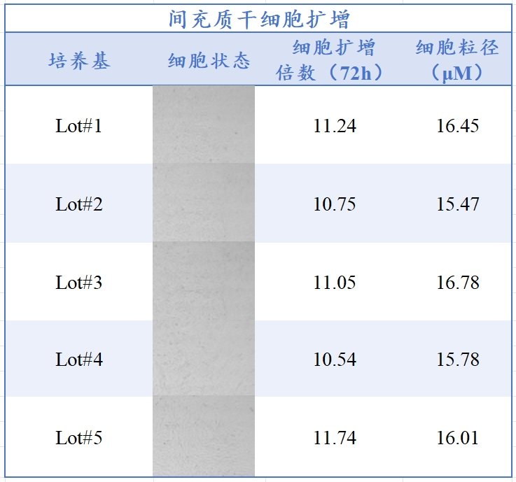 尊凯实业官网生物MSC无血清培养工艺定制化服务